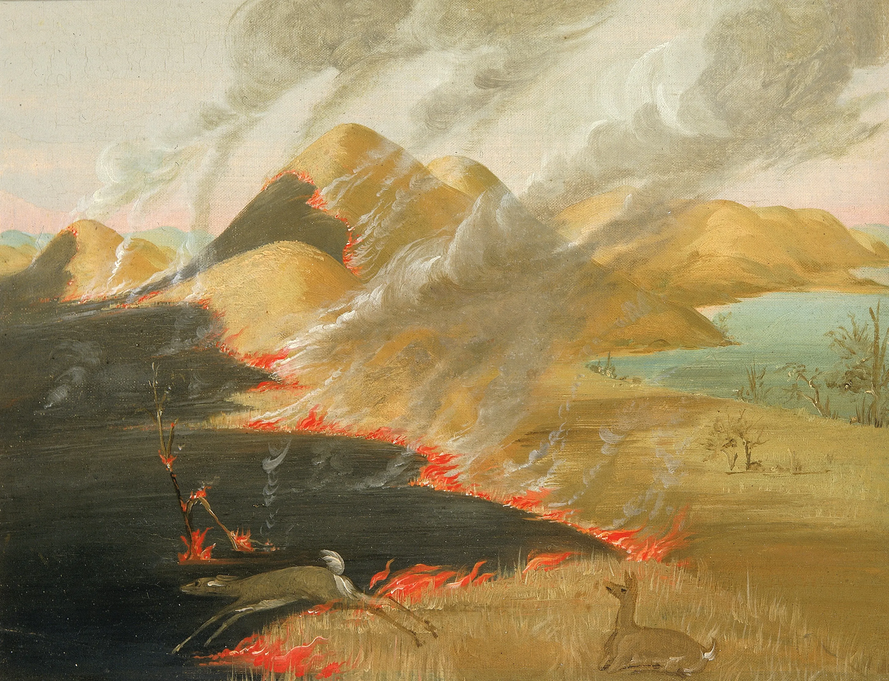 Painting from 1832 depicting prairies burning from wildfire.