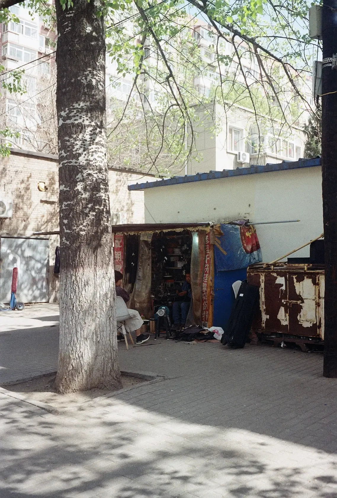 Handy person near my grandma's in Beijing.